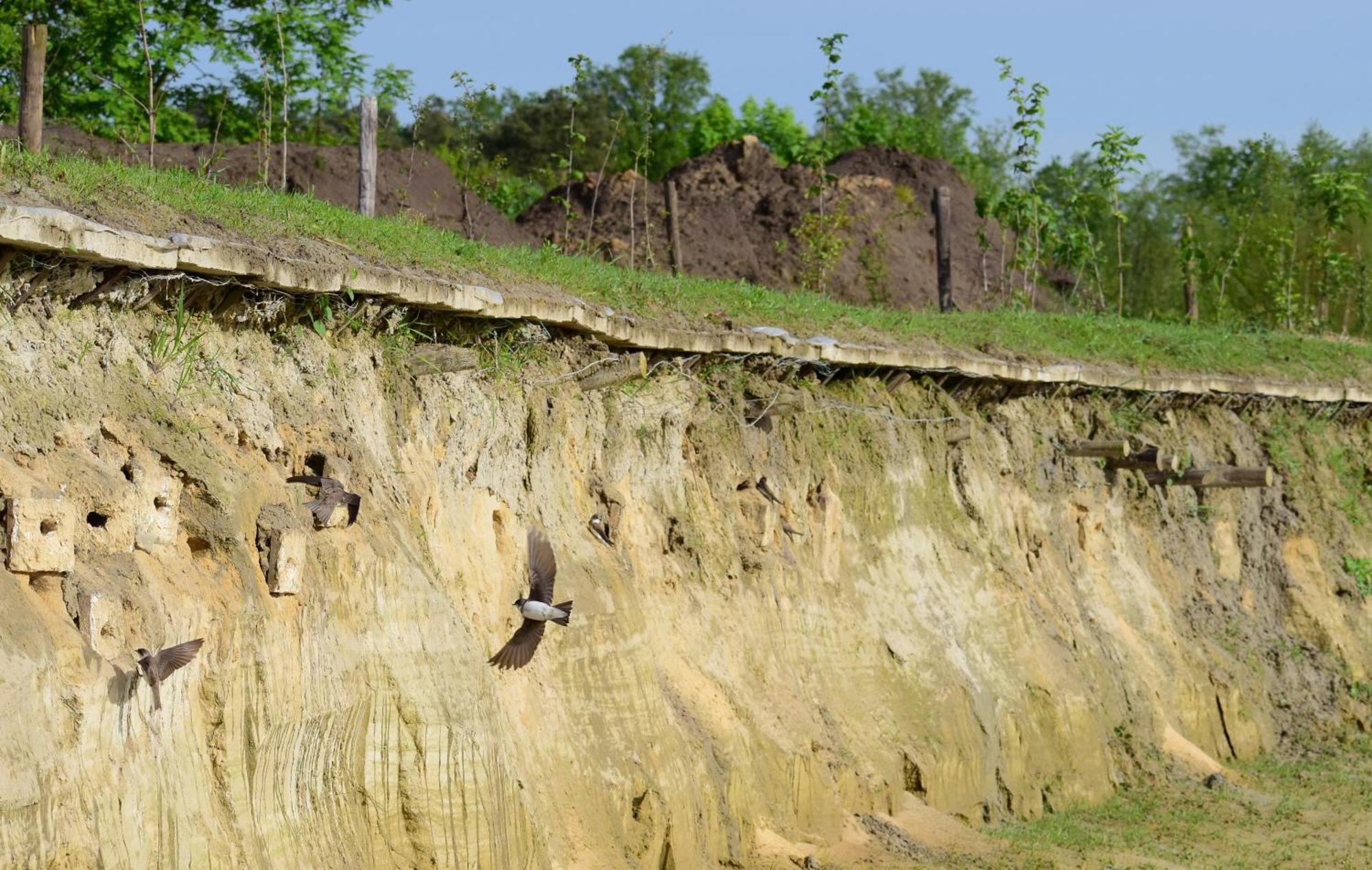 Вілла Hoeve Twente - De Buizerd Гейтхаузен Екстер'єр фото